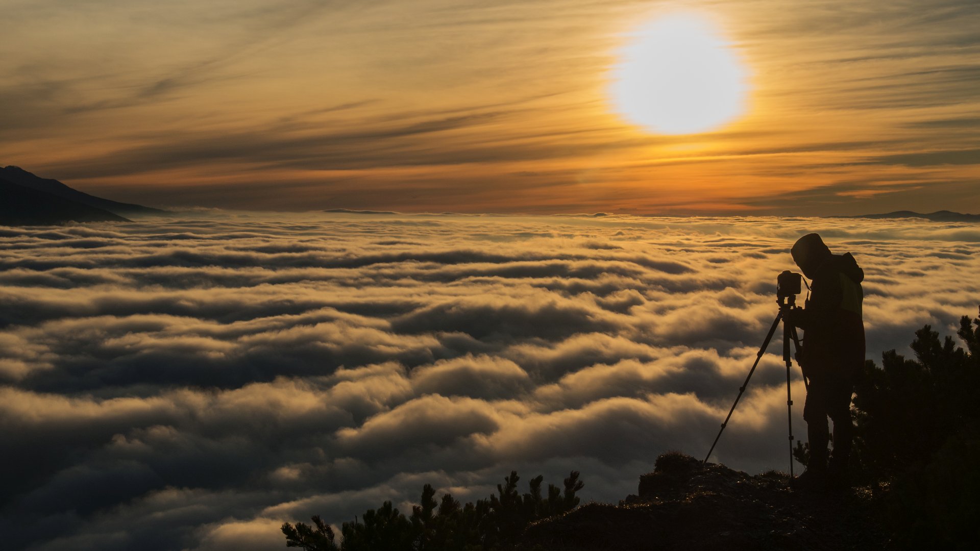  It's not only me who came here for pictures