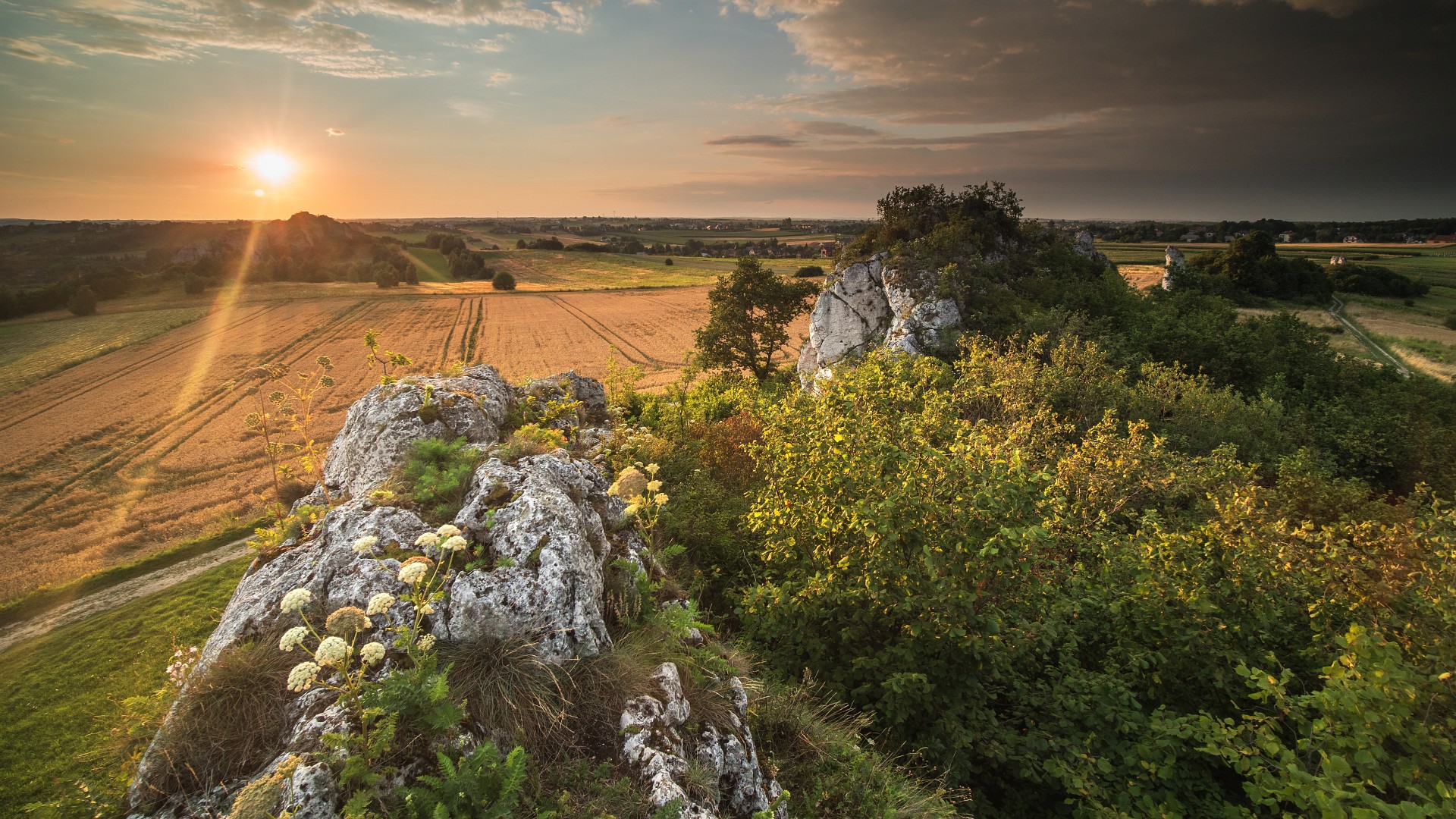 The Jerzmanowickie Rocks