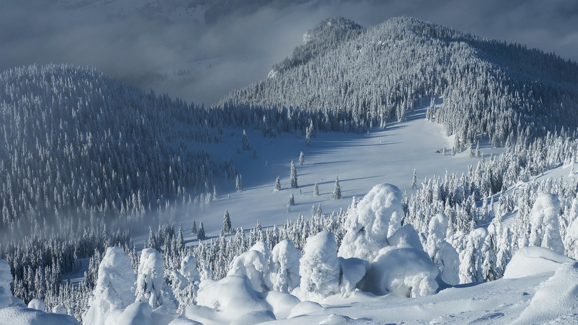 Descent from the Veľký Choč