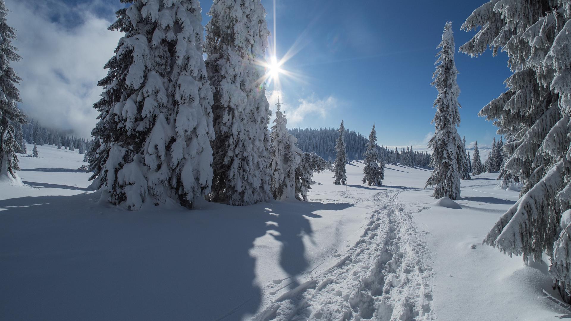 Descent from the Veľký Choč