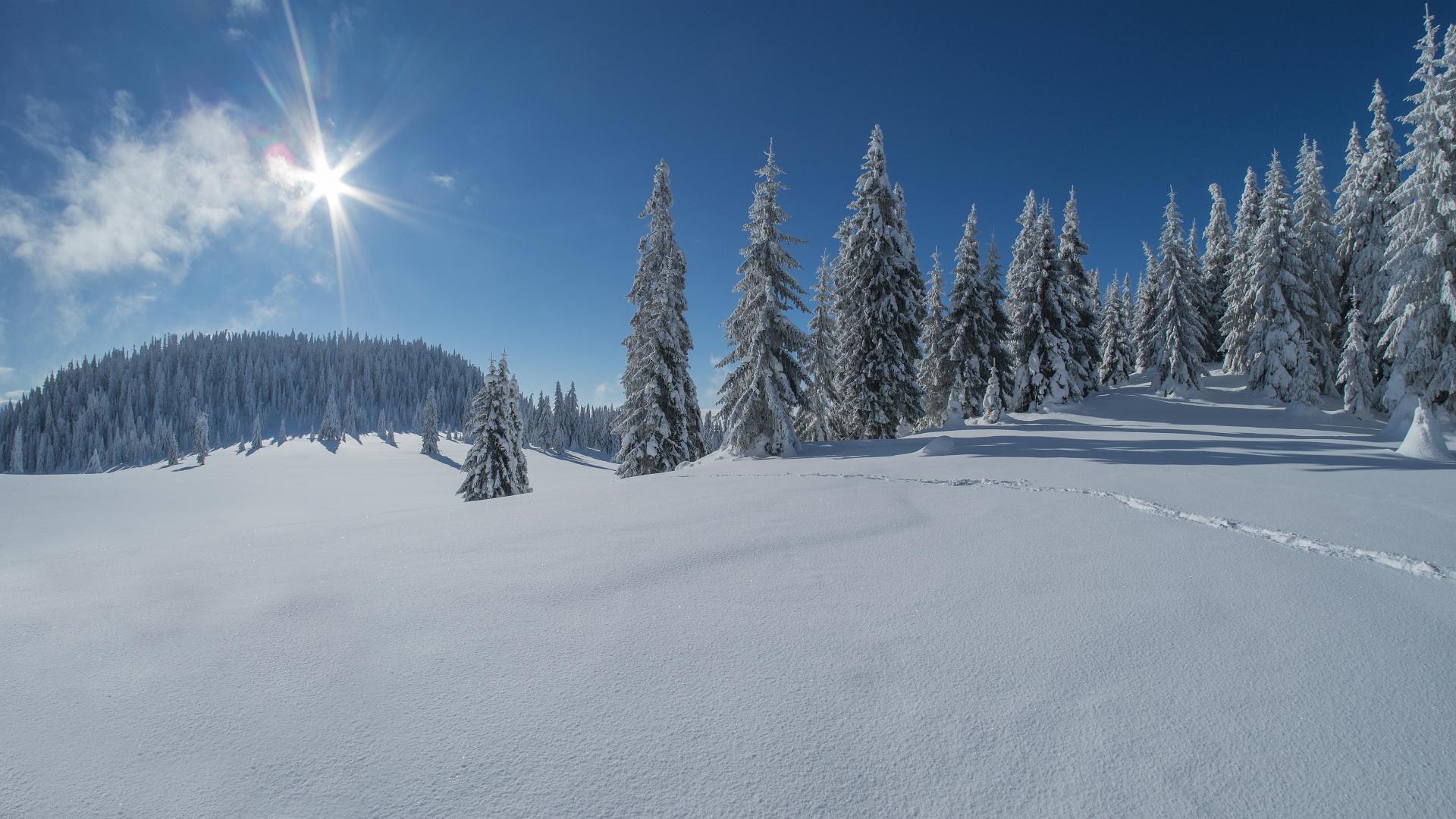 Descent from the Veľký Choč