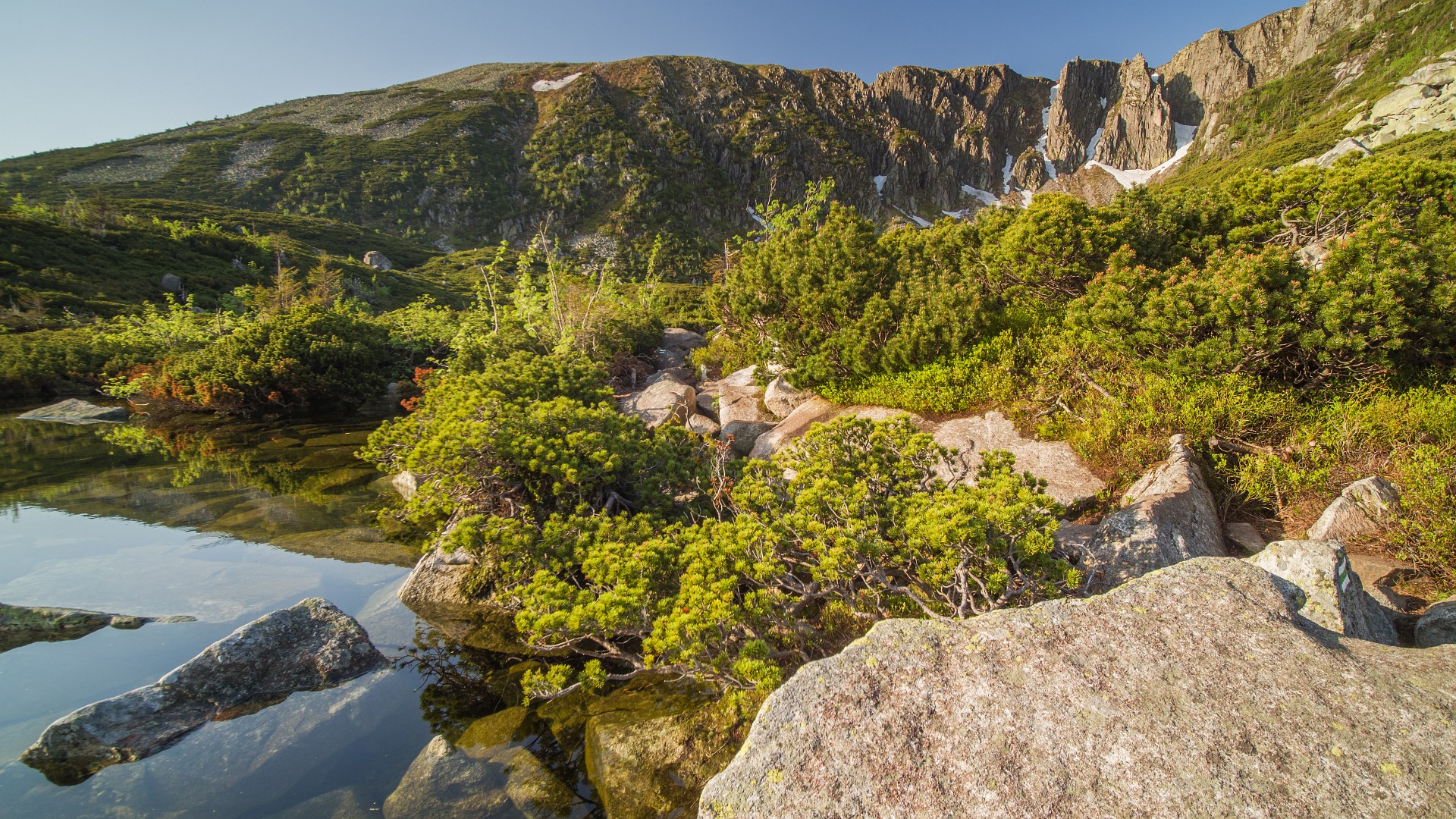 Nad brzegiem Śnieżnego Stawku