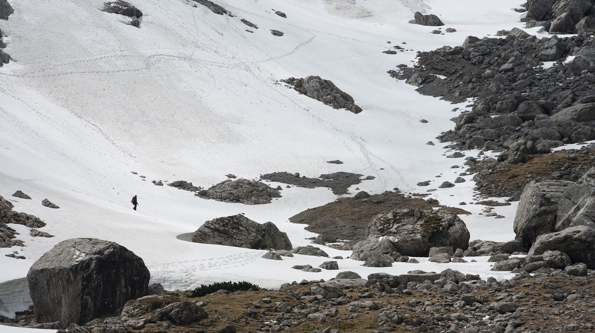 Najbardziej na północ wysunięty lodowiec Alp: Blaueis