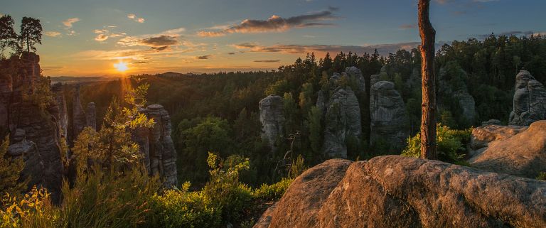 Kliknij, aby wejść do galerii