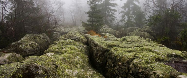 Kliknij, aby wejść do galerii