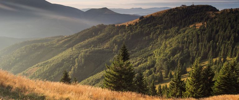 Kliknij, aby wejść do galerii